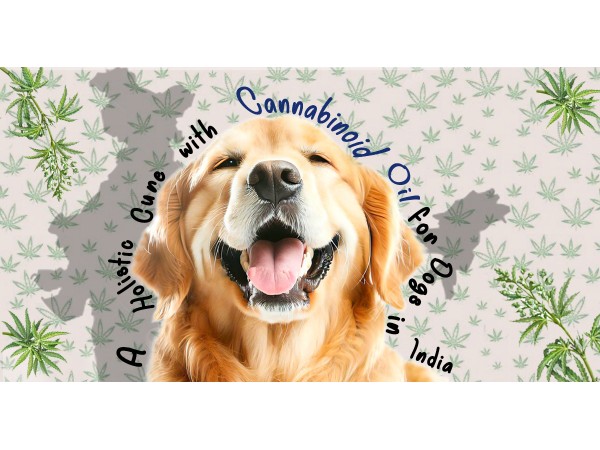 Cannabinoid oil for dog