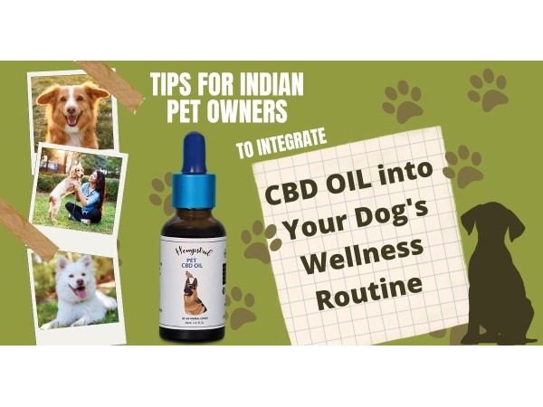  buy cbd oil for dogs