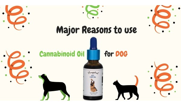 Major Reasons To Use Cannabinoid Oil For Dog