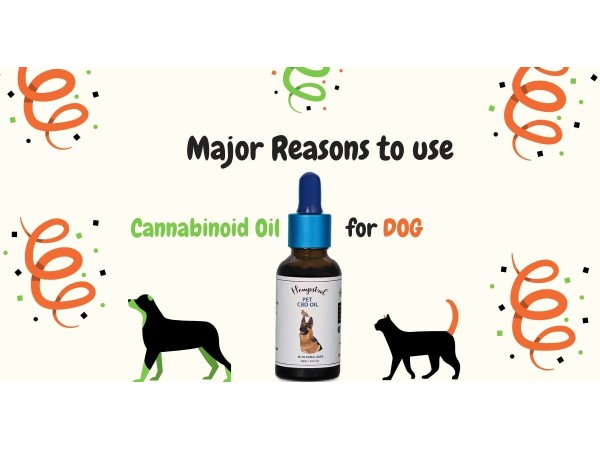 CBD for dogs India