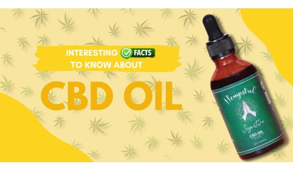 Interesting Facts To Know About Cbd Oil