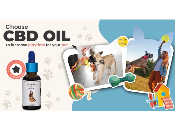 cbd oil for dogs in India