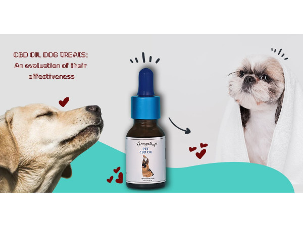 CBD Oil Dog