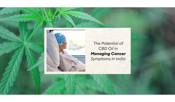 The Potential Of CBD Oil In Managing Cancer Symptoms In India