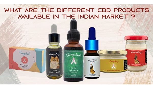 CBD Balm, CBD Oil, CBD Softgel: Confused about which one to choose? A complete guide for you to read before buying CBD 