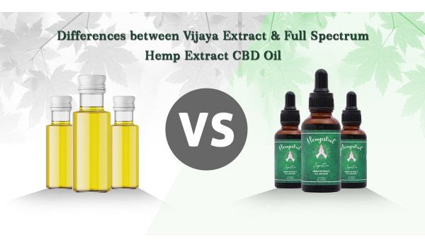 Difference Between Vijaya Extract and Full Spectrum CBD Oil