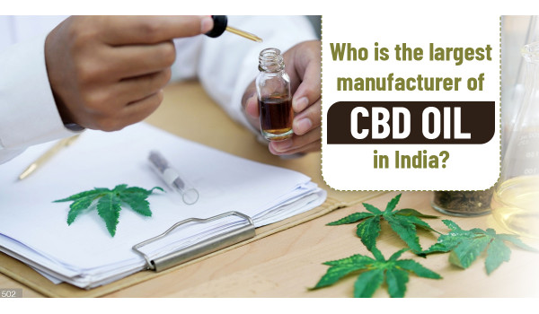 Who is the largest manufacturer of CBD Oil in India?