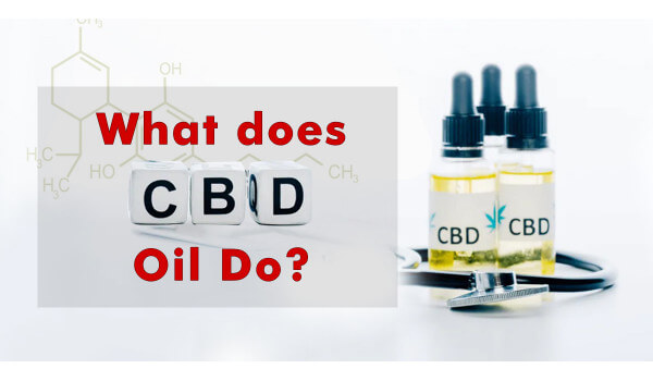 CBD Oil: Is it worth the hype?