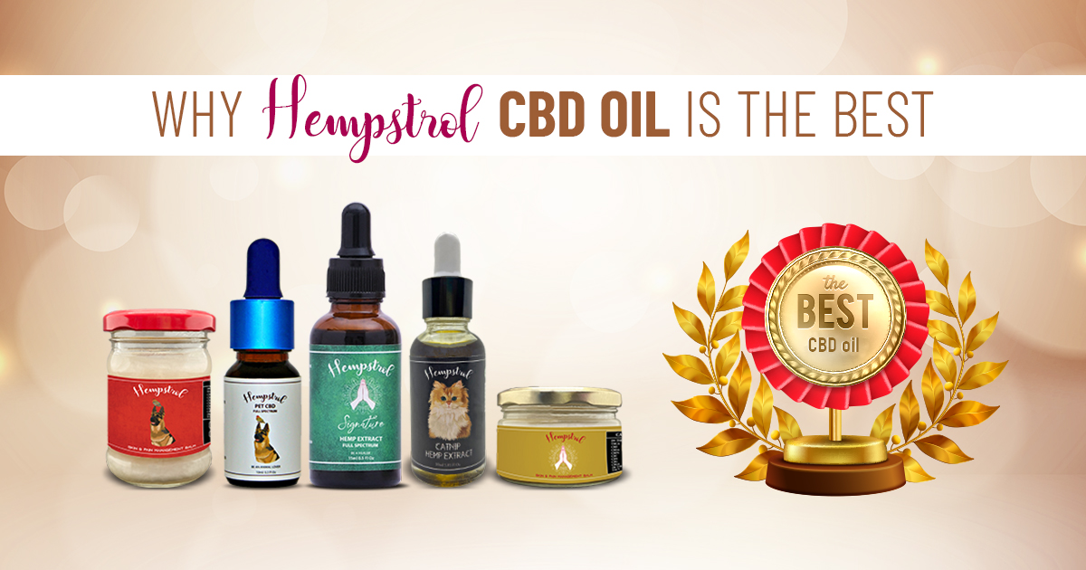 Who is the largest manufacturer of CBD Oil in India?